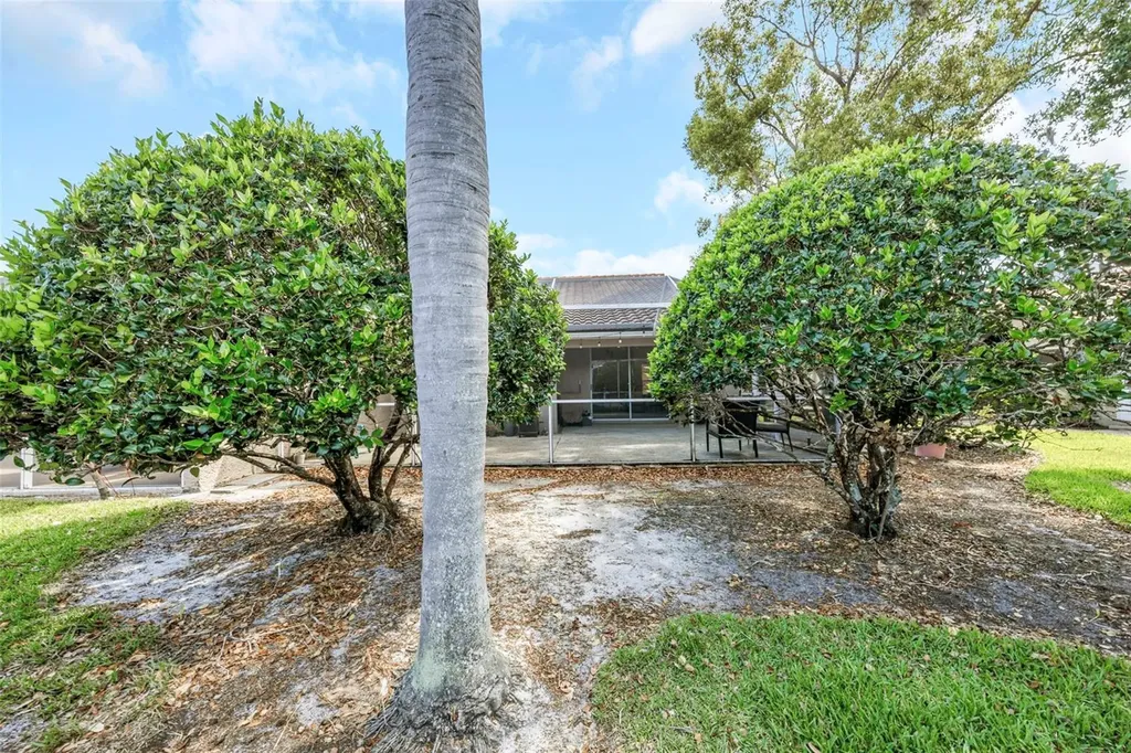3838 Muirfield Court Palm Harbor FL 34685