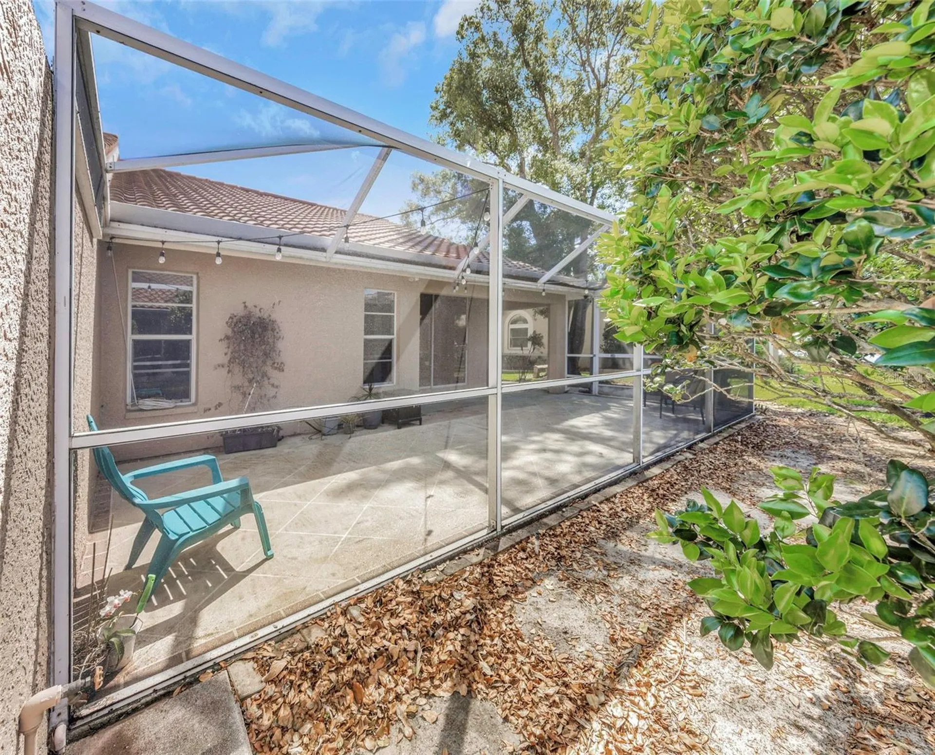 3838 Muirfield Court Palm Harbor FL 34685
