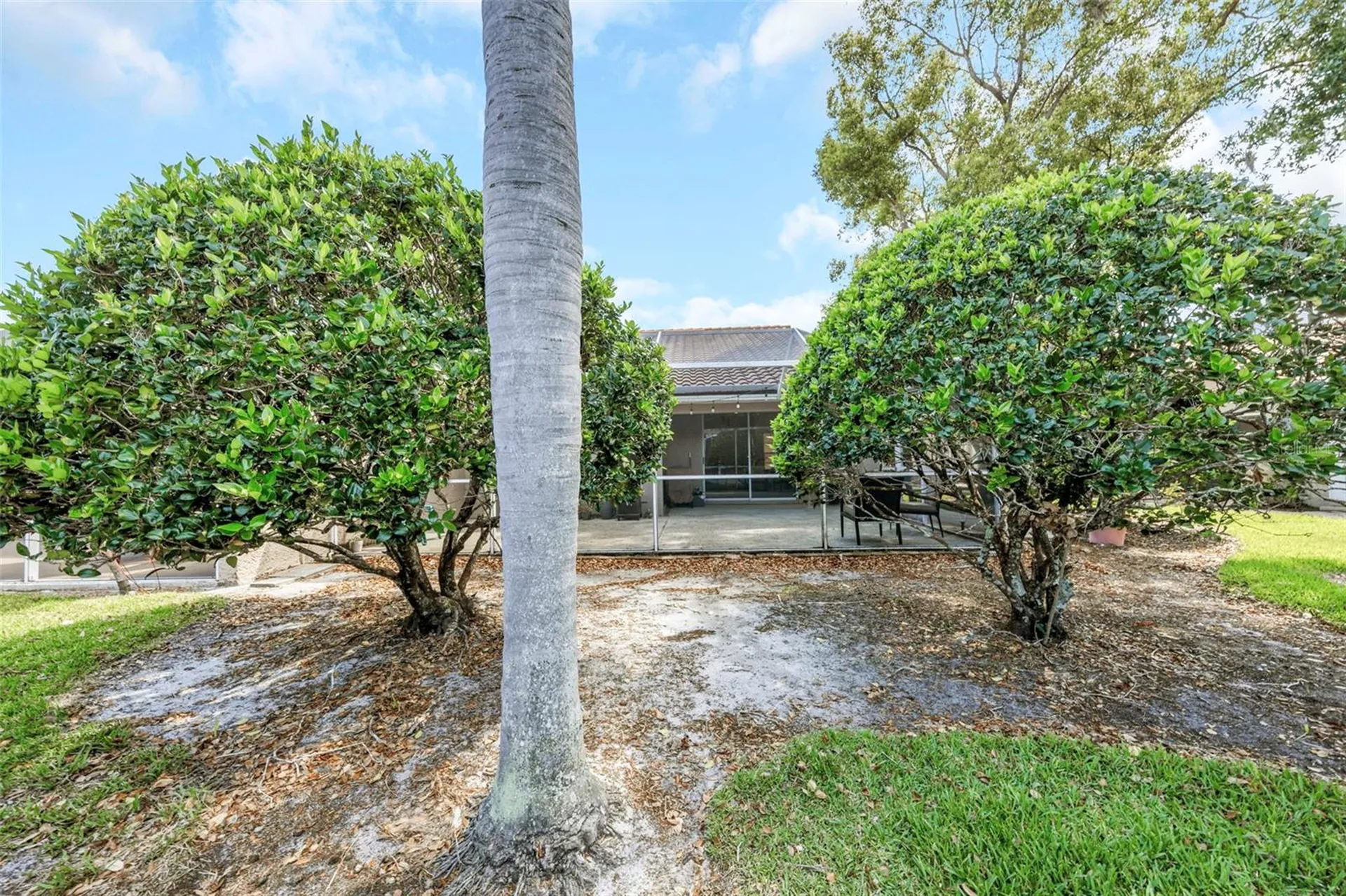 3838 Muirfield Court Palm Harbor FL 34685