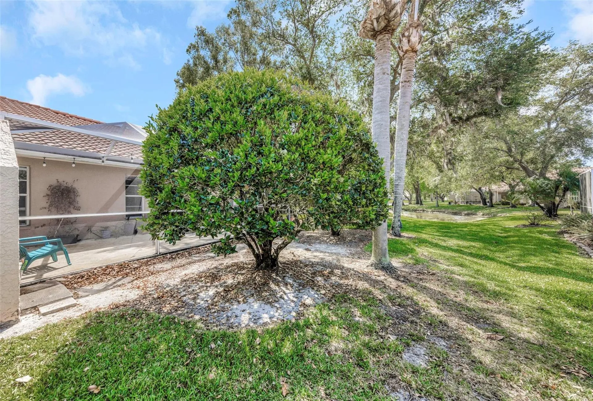 3838 Muirfield Court Palm Harbor FL 34685