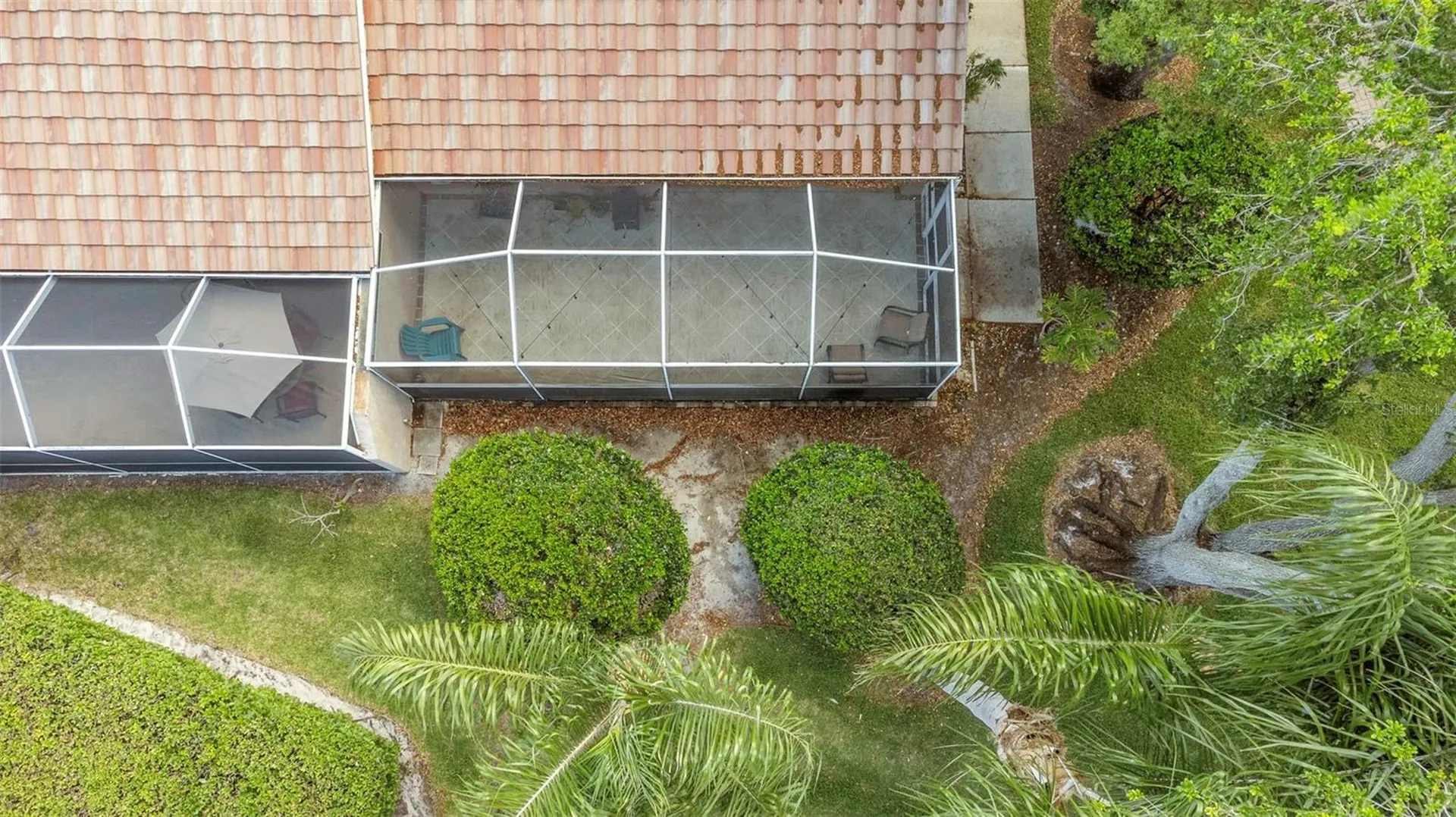 3838 Muirfield Court Palm Harbor FL 34685