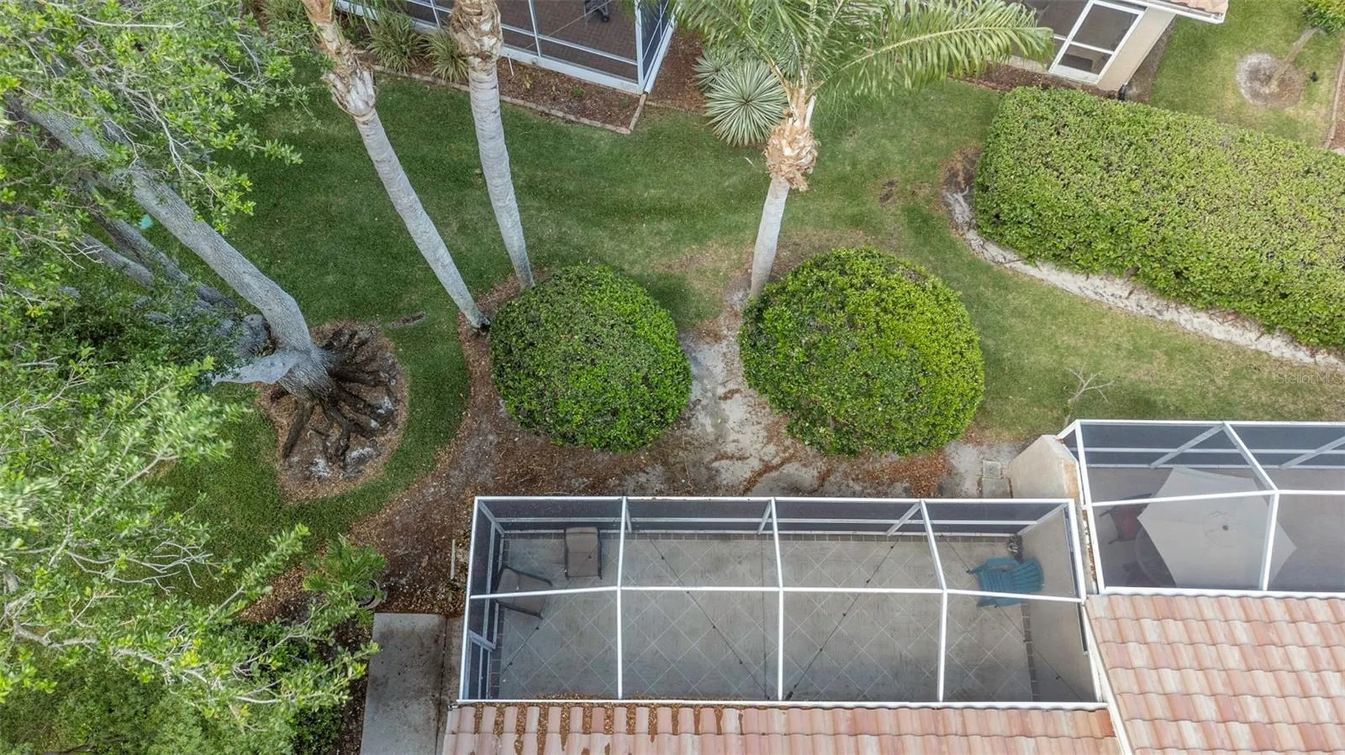 3838 Muirfield Court Palm Harbor FL 34685