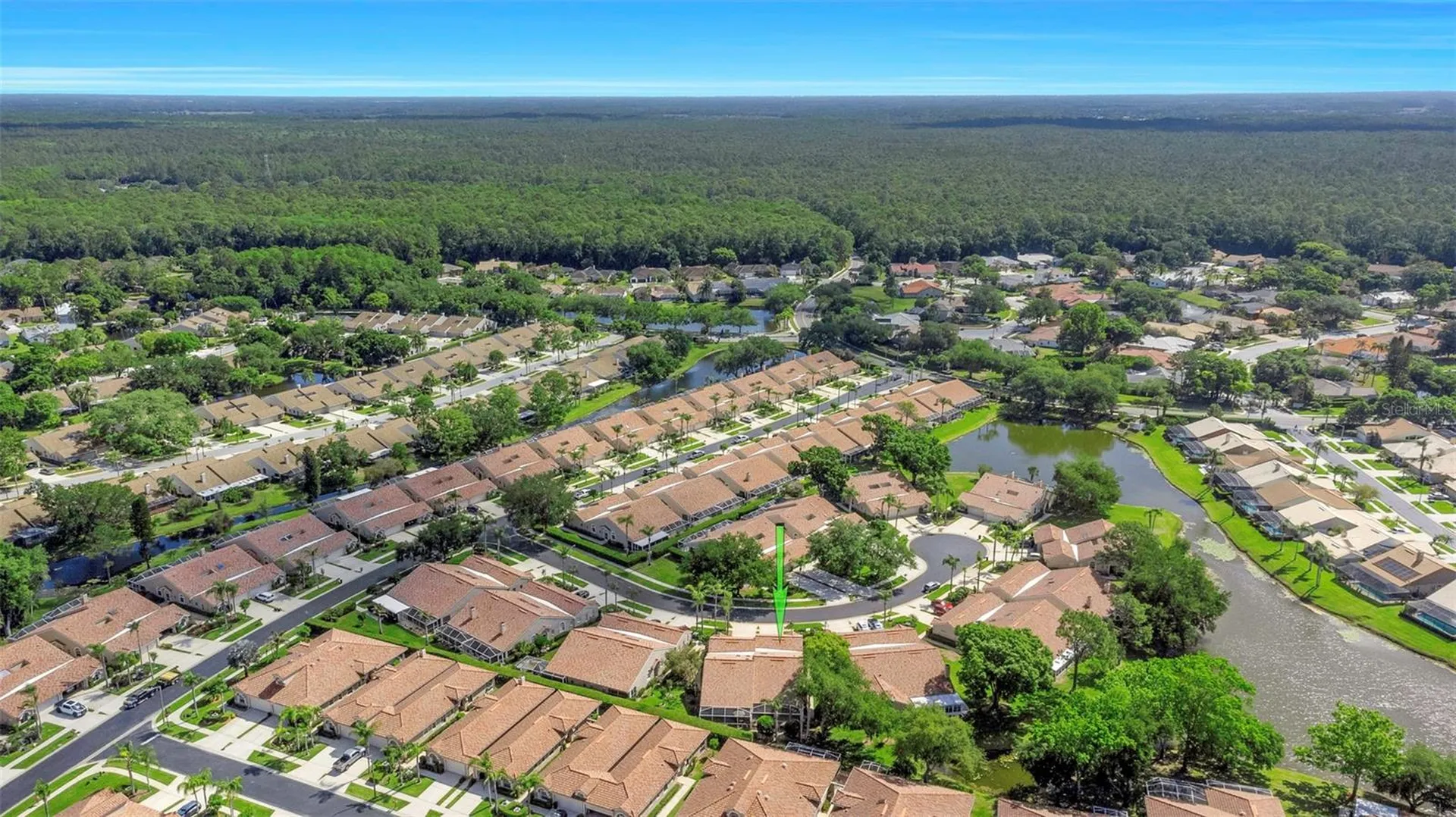 3838 Muirfield Court Palm Harbor FL 34685