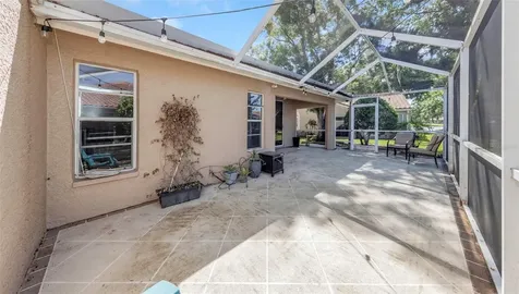 3838 Muirfield Court Palm Harbor FL 34685