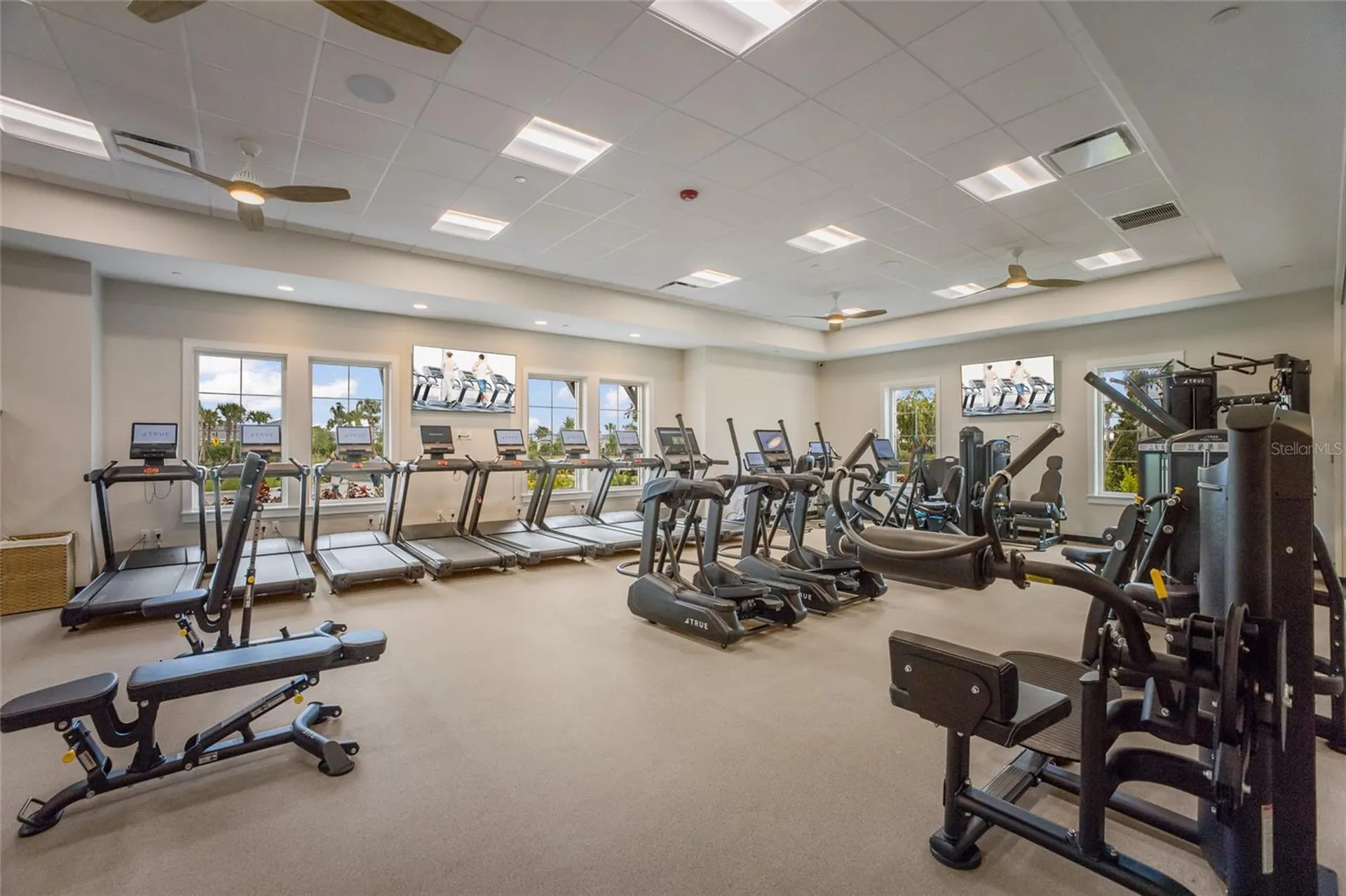 4341 Dairy Court Lakewood Ranch FL 34211