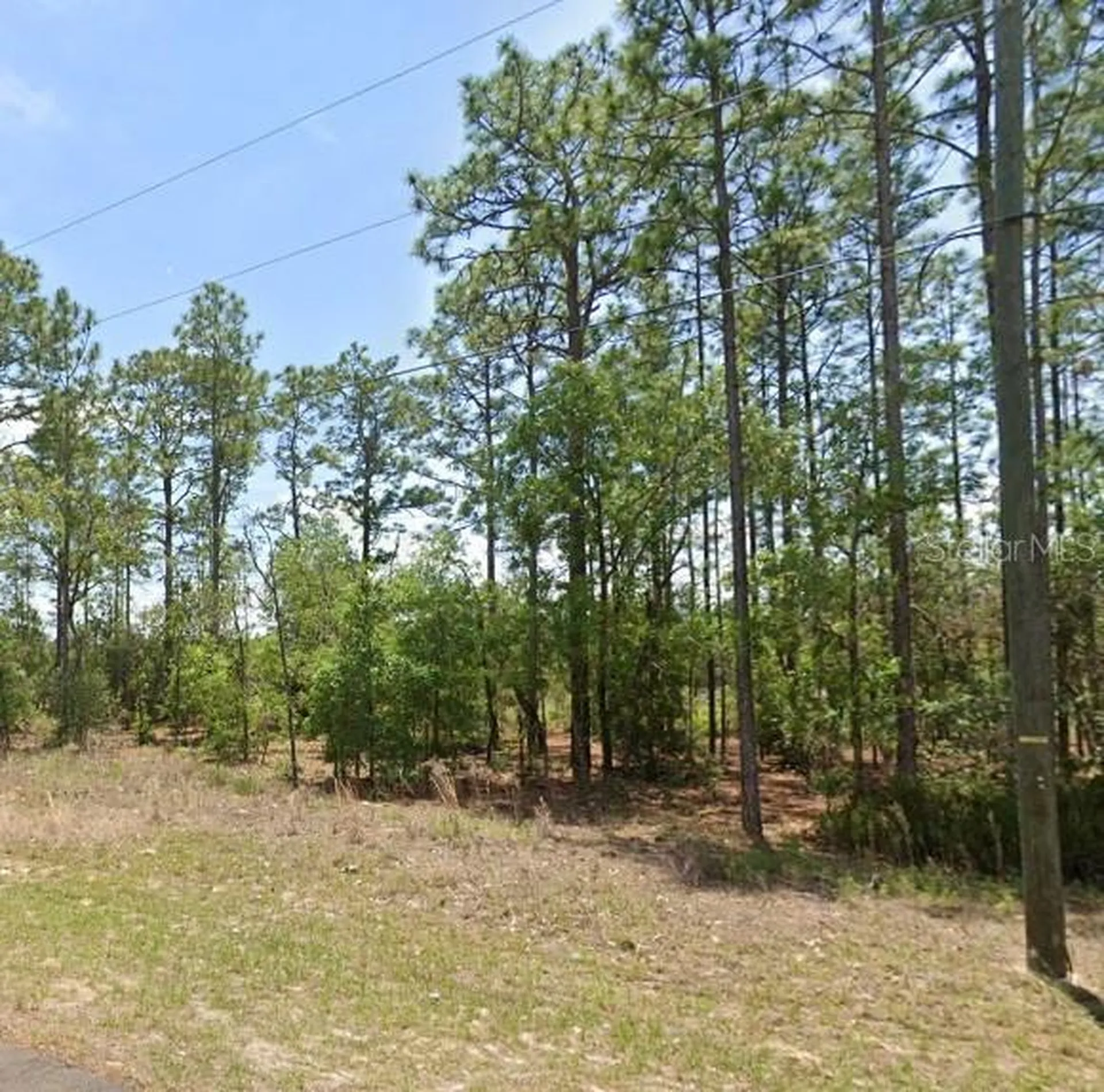 532 W Glenhaven Drive Citrus Springs FL 34434