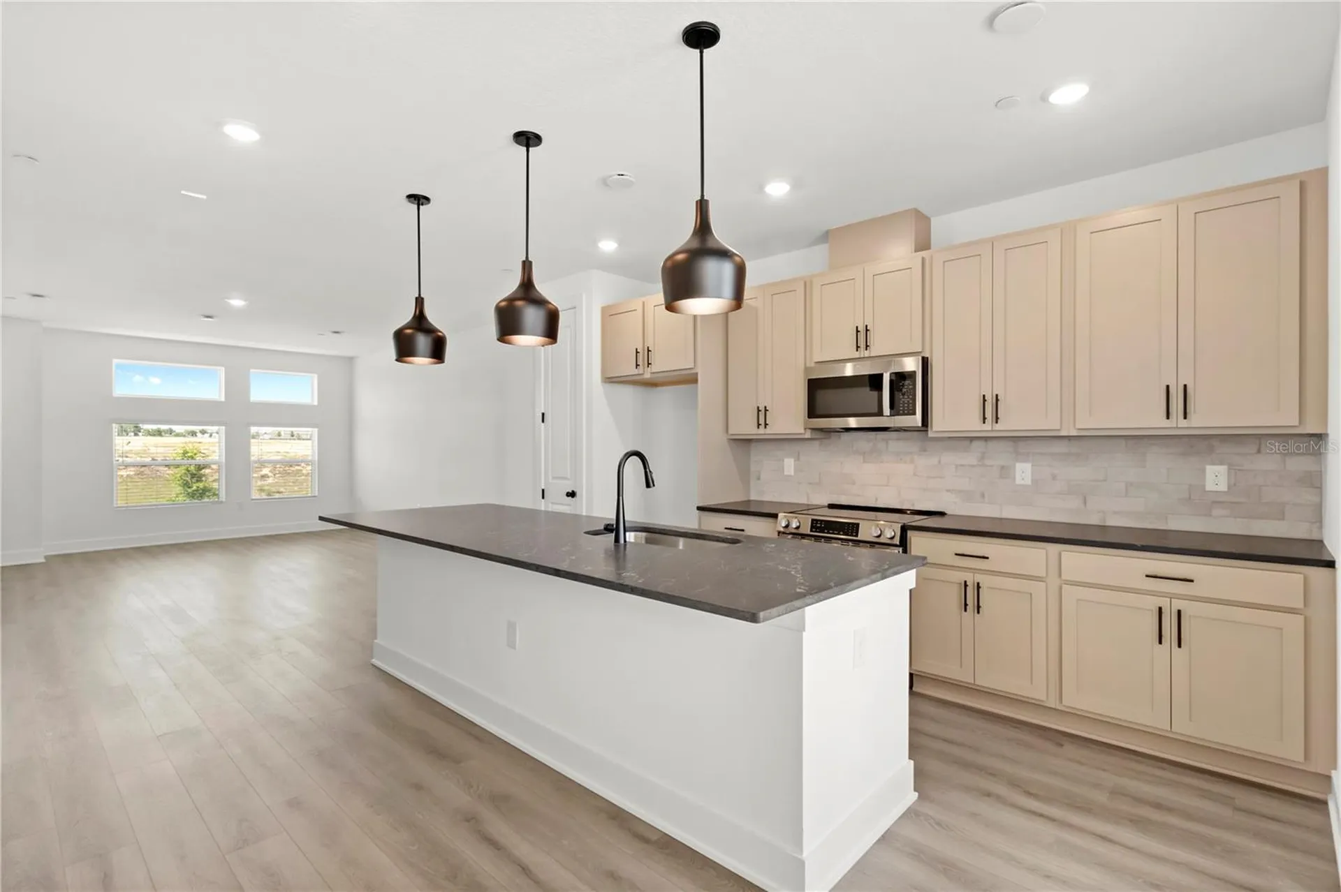 15363 Hamlin Park Drive Winter Garden FL 34787