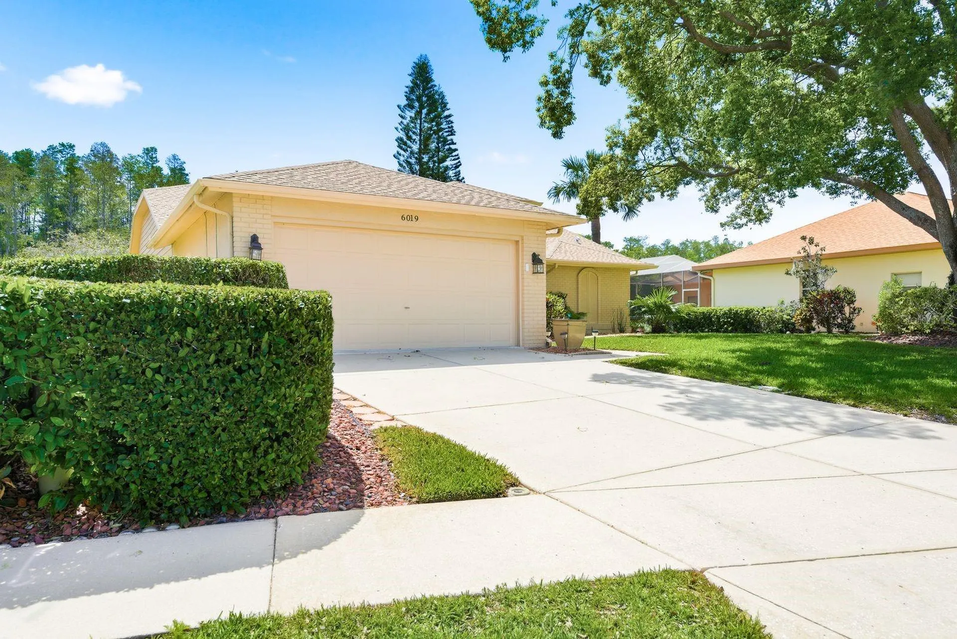 6019 Country Ridge Lane New Port Richey FL 34655