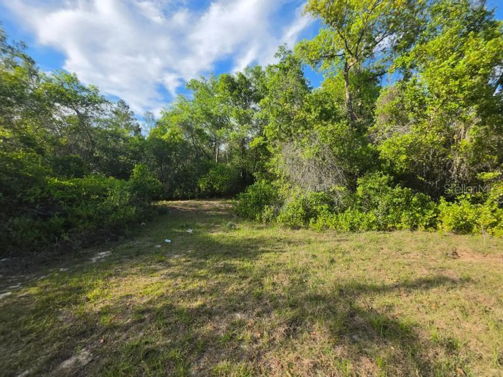 20940 SE 141st Lane Umatilla FL 32784