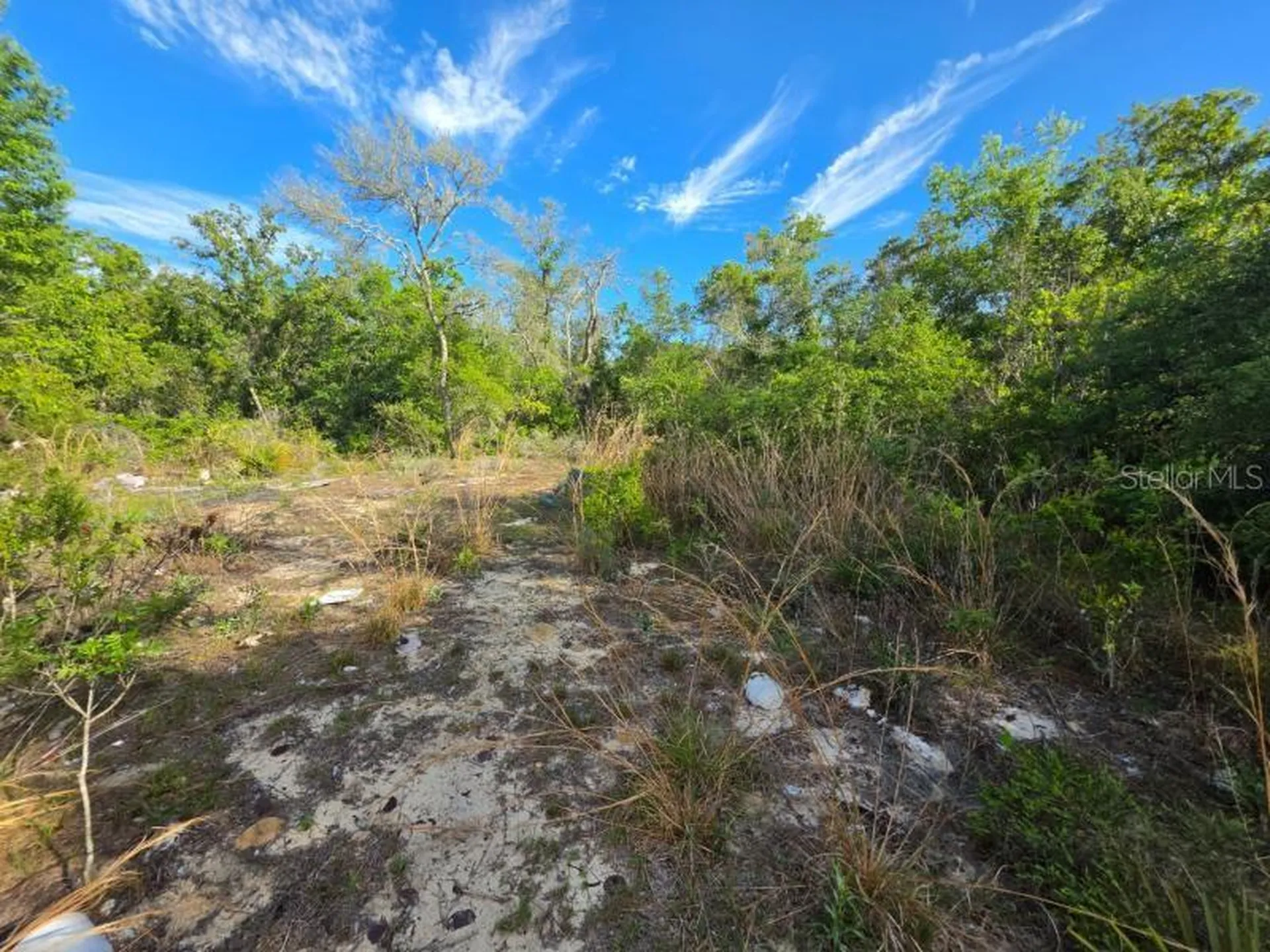 20940 SE 141st Lane Umatilla FL 32784