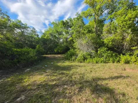 20940 SE 141st Lane Umatilla FL 32784
