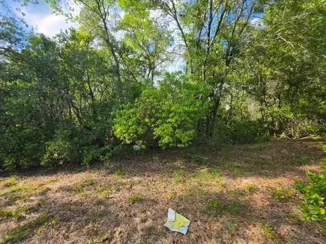20940 SE 141st Lane Umatilla FL 32784