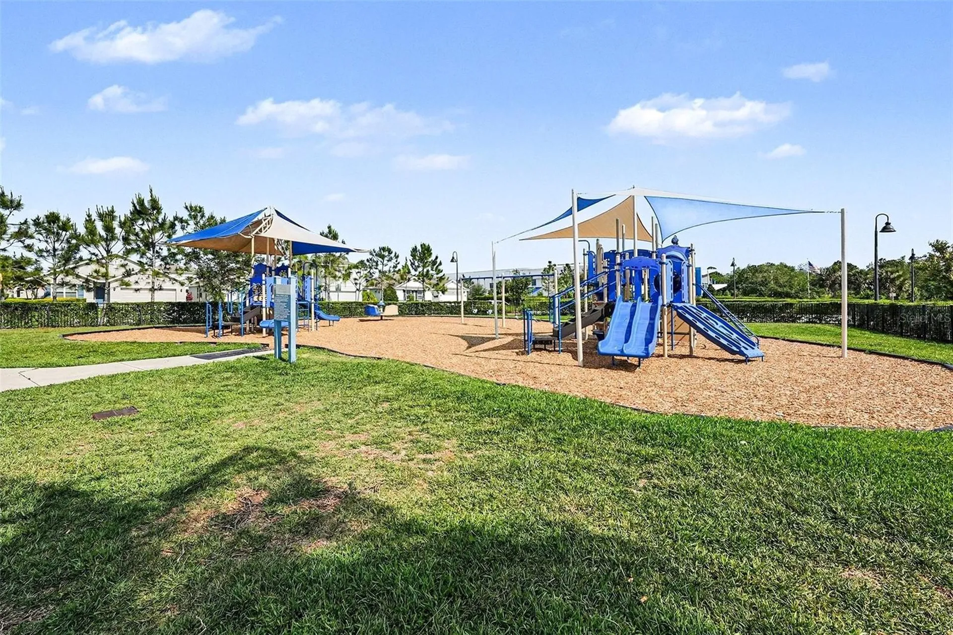 16180 Glowing Grove Avenue Odessa FL 33556