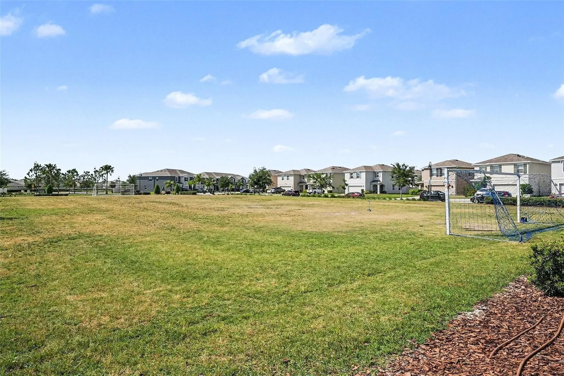 16180 Glowing Grove Avenue Odessa FL 33556