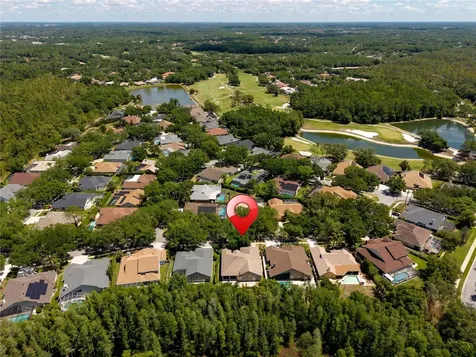 8712 Tantallon Circle Tampa FL 33647