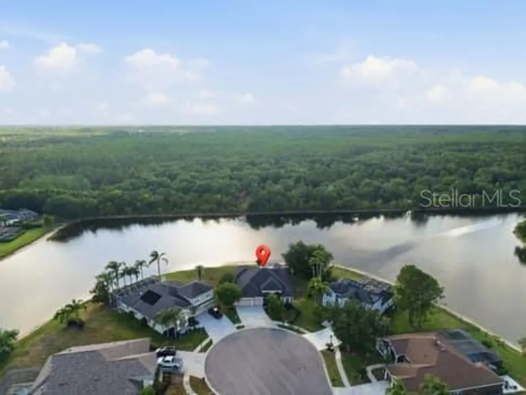 6113 Cognac Circle Lutz FL 33558