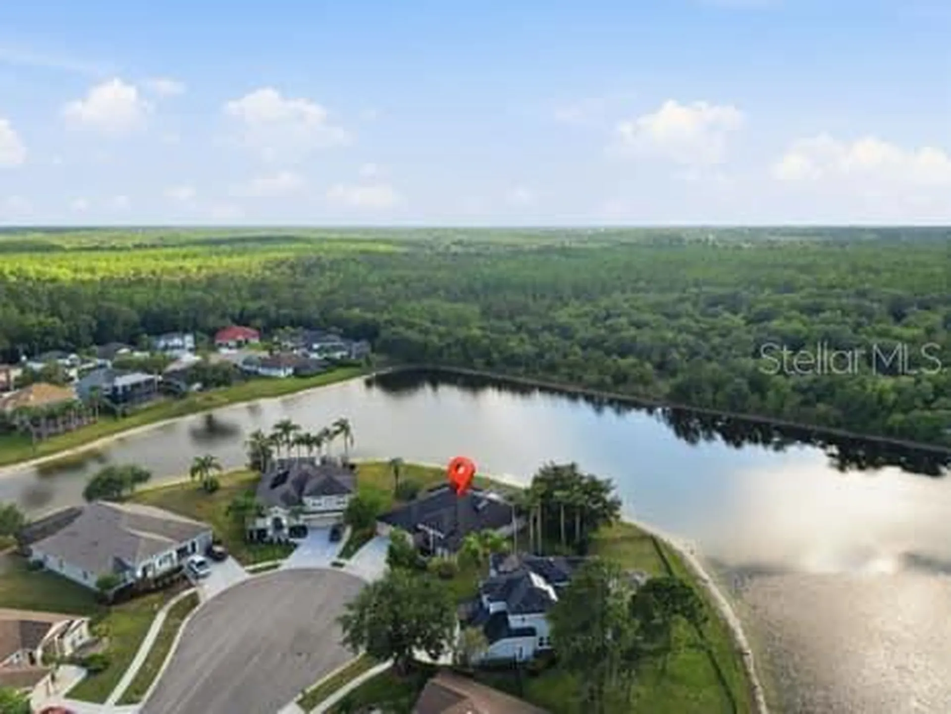6113 Cognac Circle Lutz FL 33558