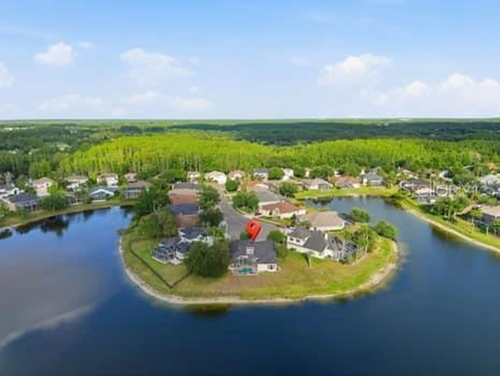 6113 Cognac Circle Lutz FL 33558