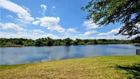 6113 Cognac Circle Lutz FL 33558