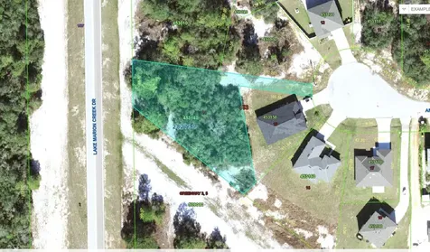 1257 Amazon Lane Kissimmee FL 34759
