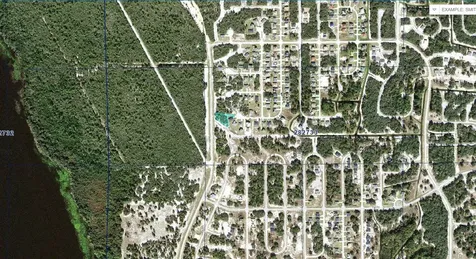 1257 Amazon Lane Kissimmee FL 34759