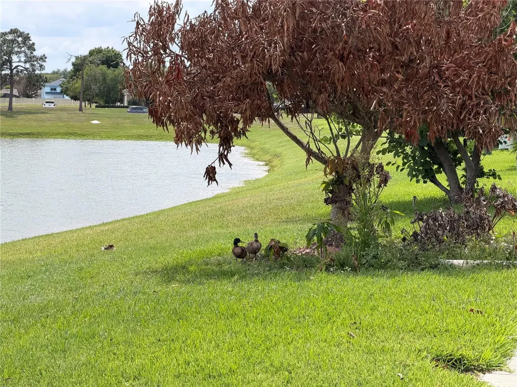 50 Lakepointe Circle Kissimmee FL 34743