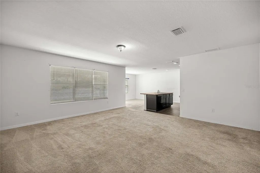 3902 SE 99th Street Belleview FL 34420