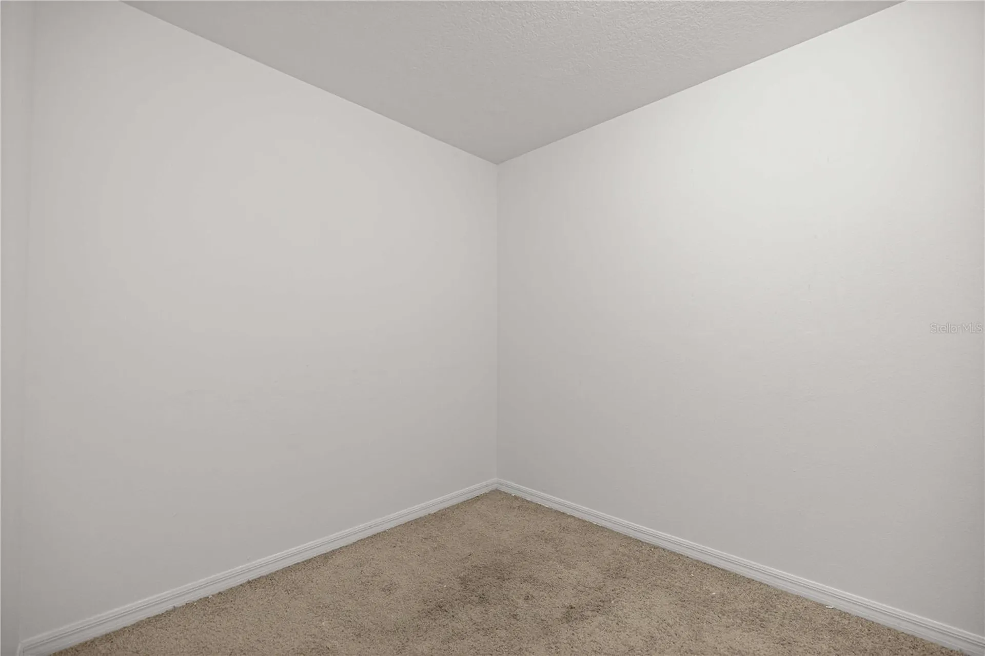 3902 SE 99th Street Belleview FL 34420
