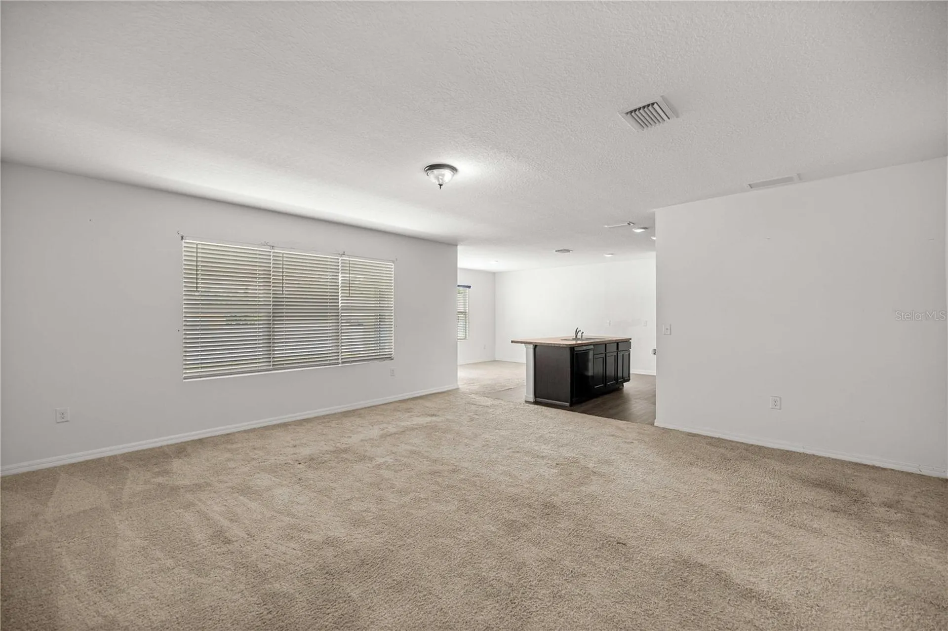 3902 SE 99th Street Belleview FL 34420