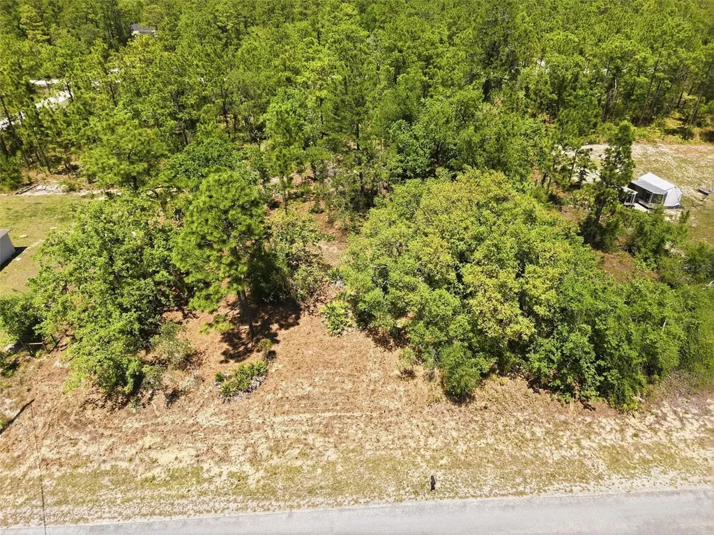 Lot 10 Cagarro Road Weeki Wachee FL 34614