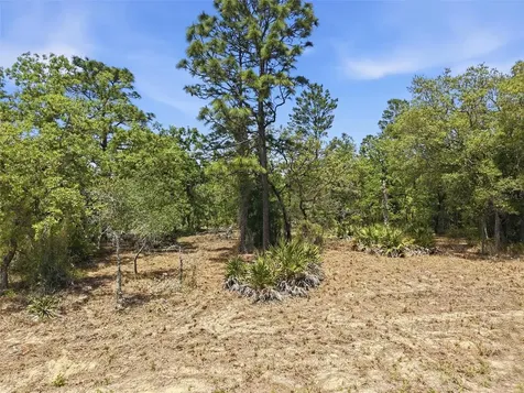 Lot 10 Cagarro Road Weeki Wachee FL 34614