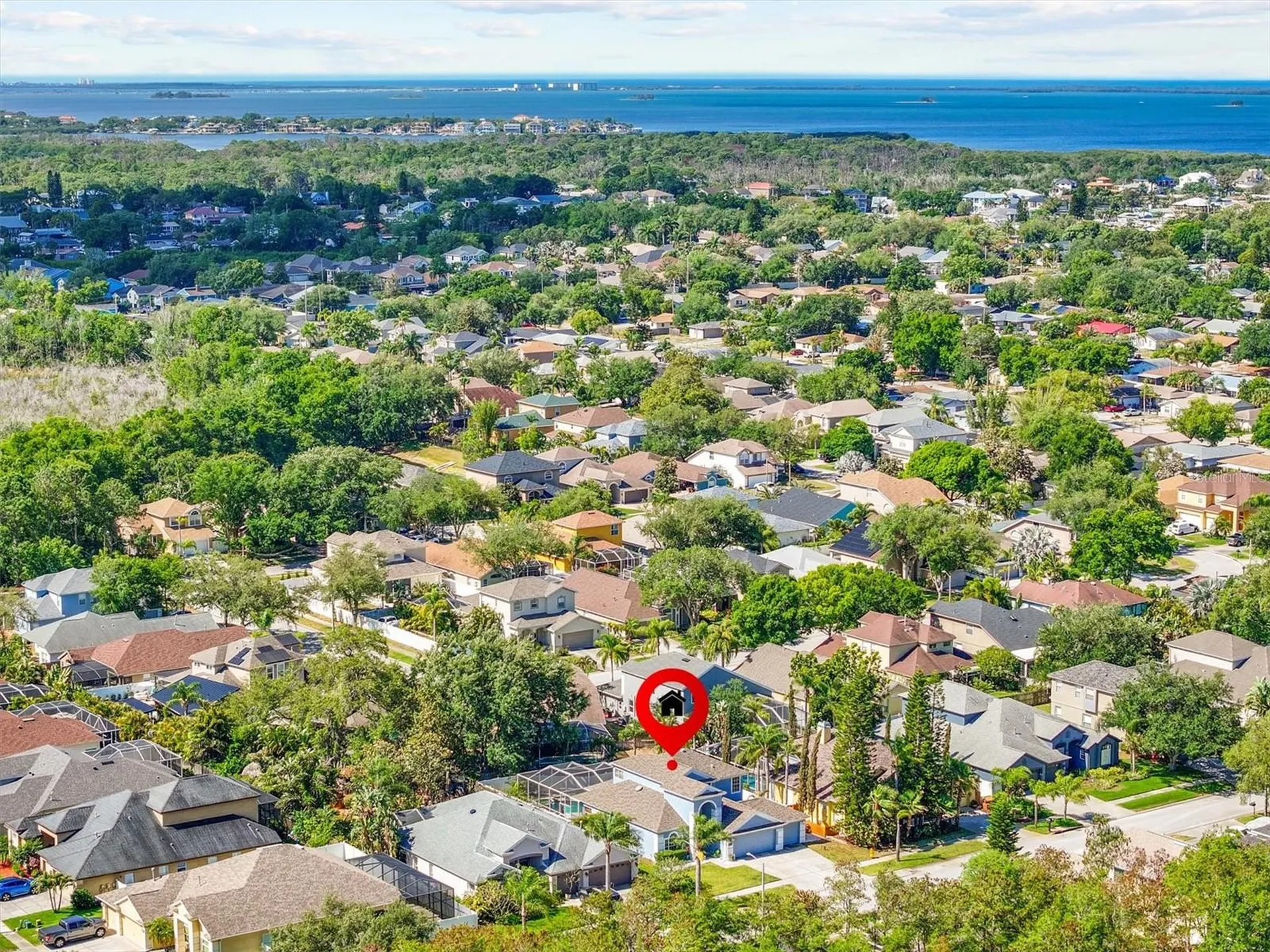 460 Denise Street Tarpon Springs FL 34689