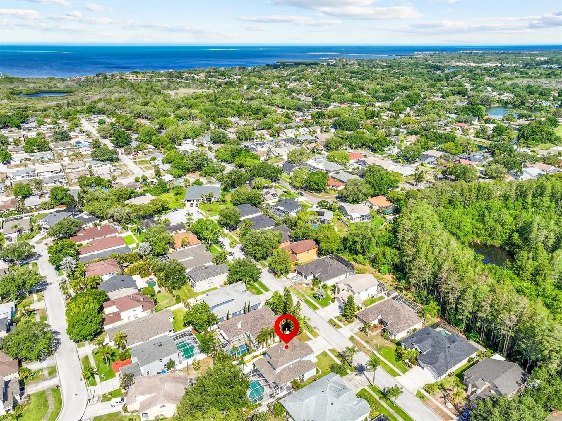 460 Denise Street Tarpon Springs FL 34689