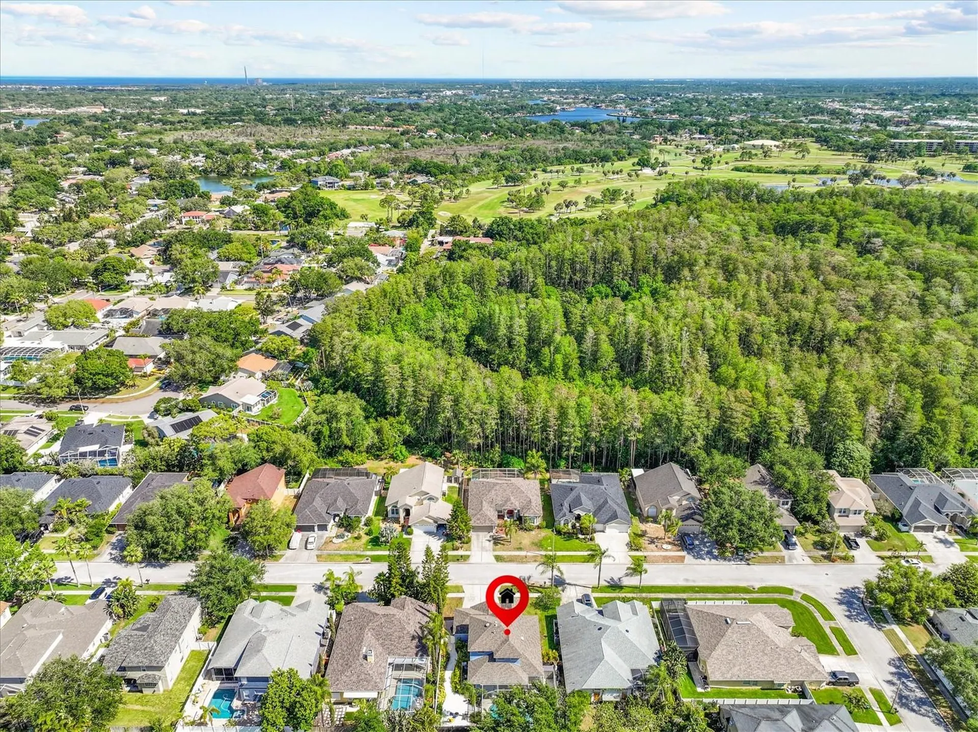 460 Denise Street Tarpon Springs FL 34689
