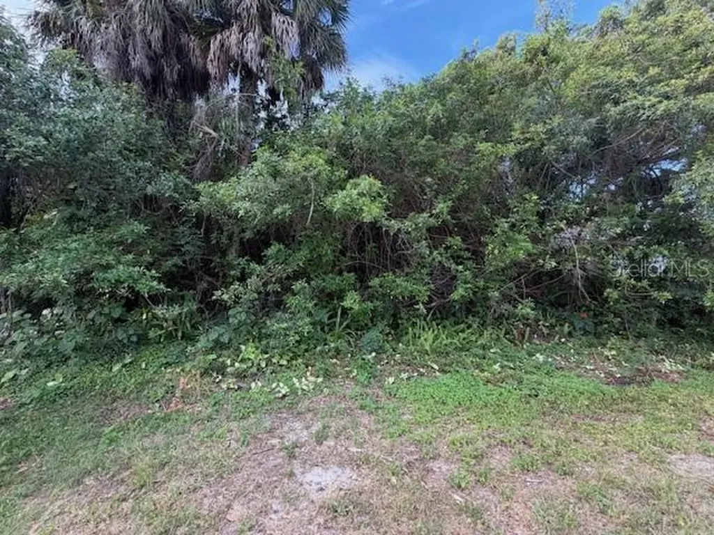 21447 Dranson Avenue Port Charlotte FL 33952