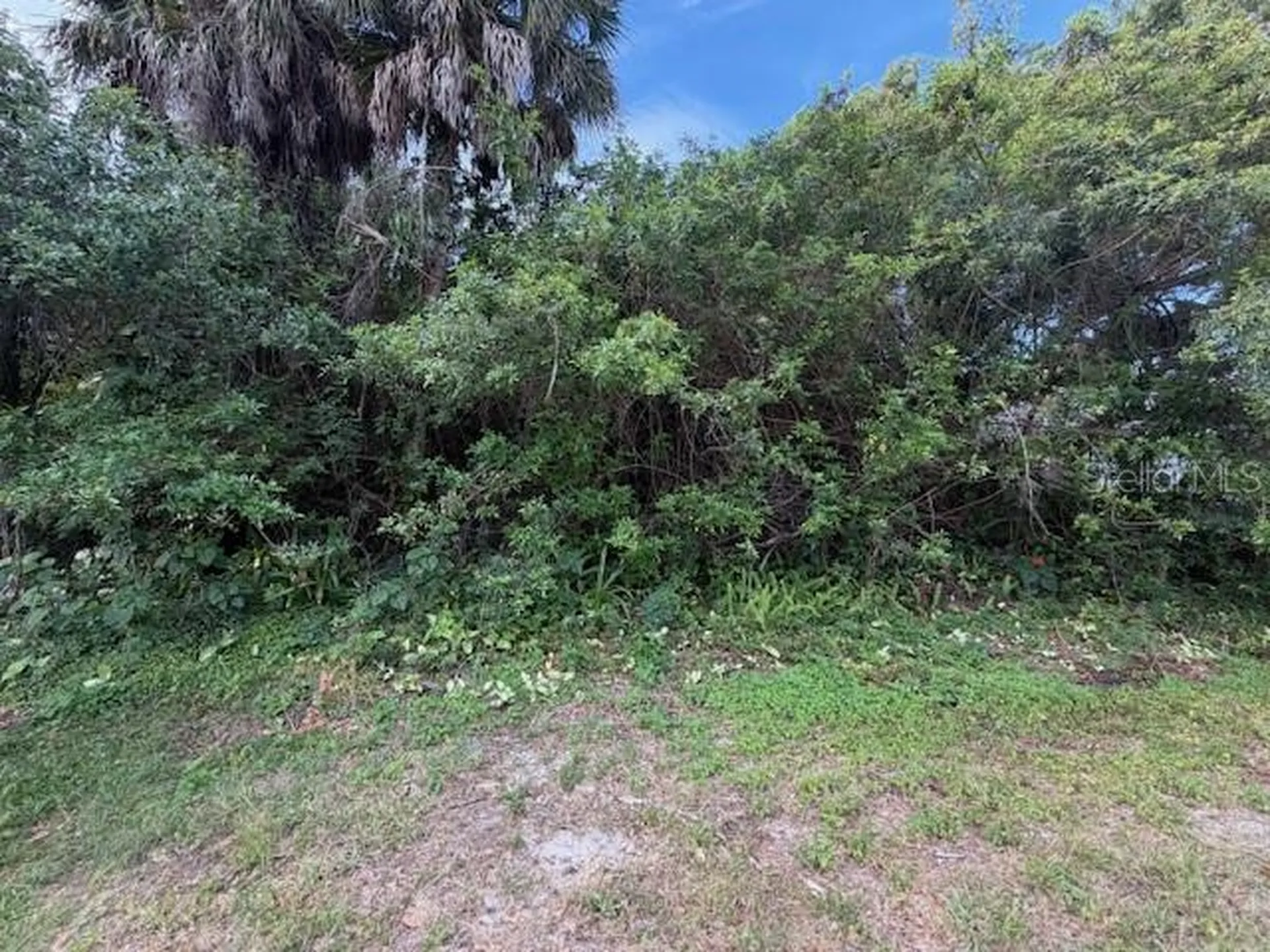 21447 Dranson Avenue Port Charlotte FL 33952
