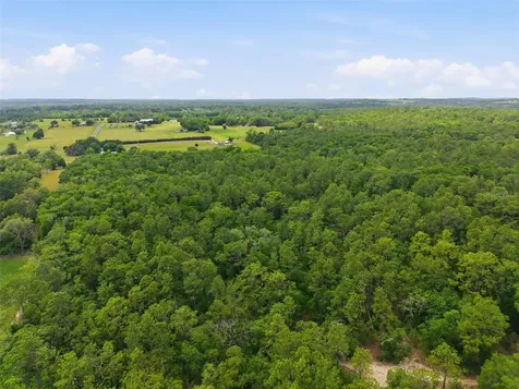 Cortez Boulevard Brooksville FL 34602