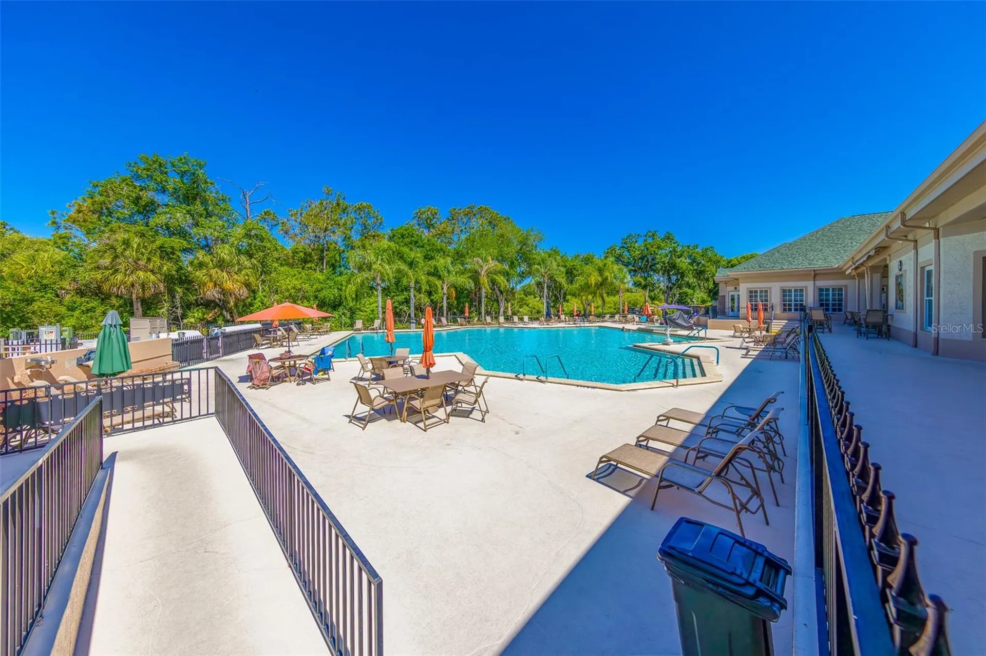 10036 Brookdale Drive New Port Richey FL 34655