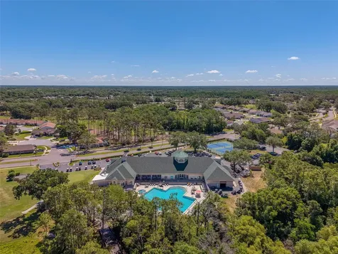 10036 Brookdale Drive New Port Richey FL 34655