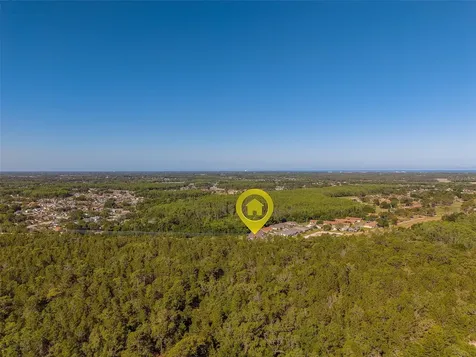 10036 Brookdale Drive New Port Richey FL 34655