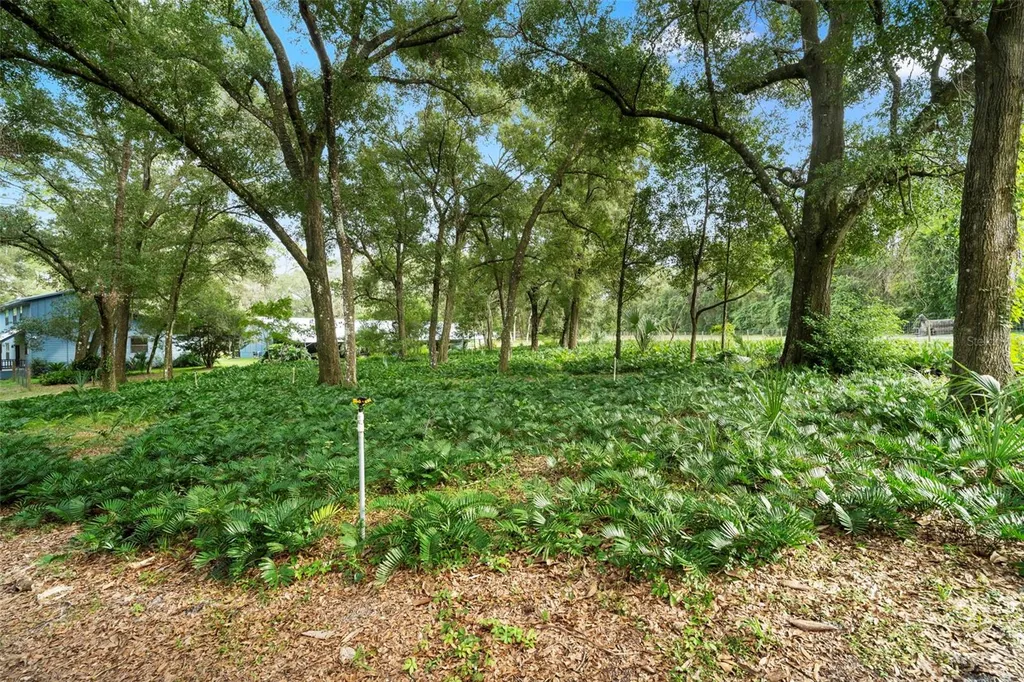 1268 Mcgregor Road Deland FL 32720