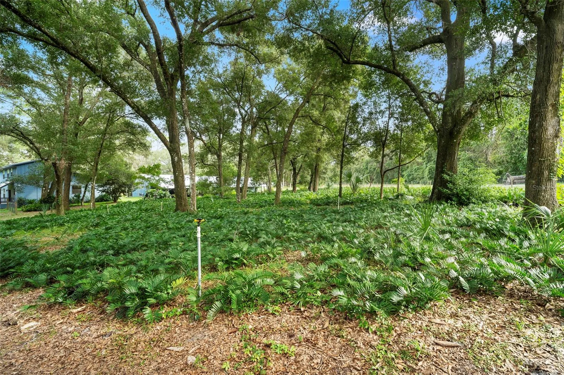 1268 Mcgregor Road Deland FL 32720