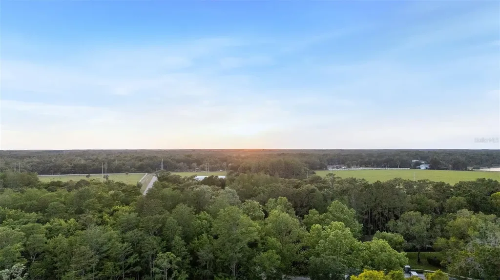 7906 Foxcatcher Court Odessa FL 33556