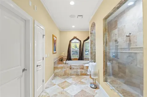 7906 Foxcatcher Court Odessa FL 33556