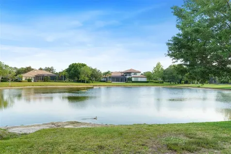 7906 Foxcatcher Court Odessa FL 33556