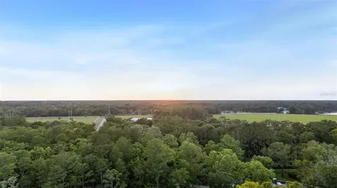 7906 Foxcatcher Court Odessa FL 33556