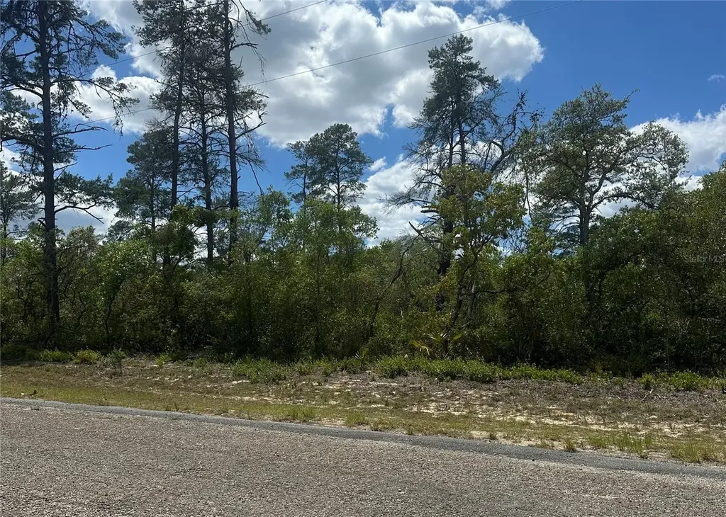8036 N Wayside Avenue Dunnellon FL 34433