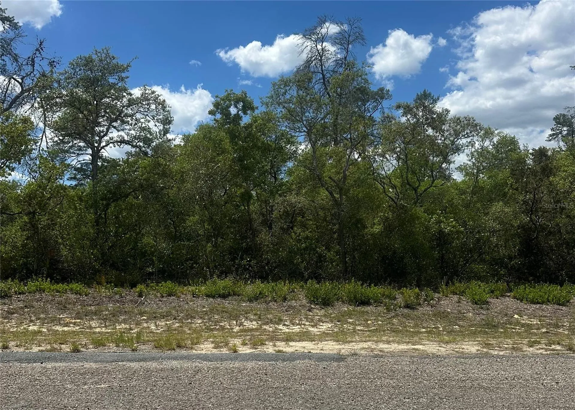 8036 N Wayside Avenue Dunnellon FL 34433