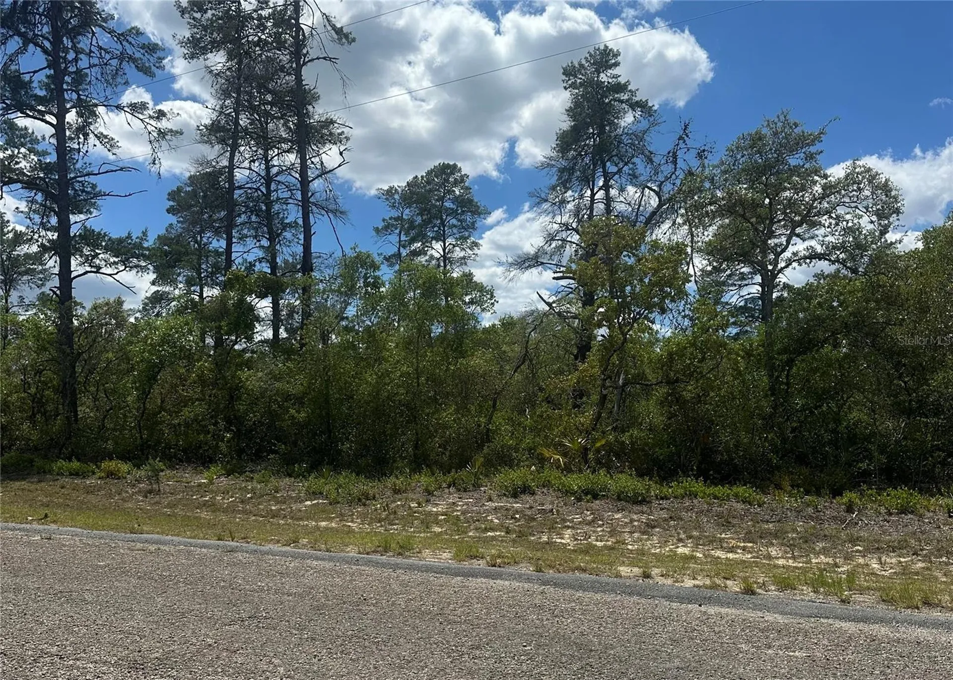 8036 N Wayside Avenue Dunnellon FL 34433