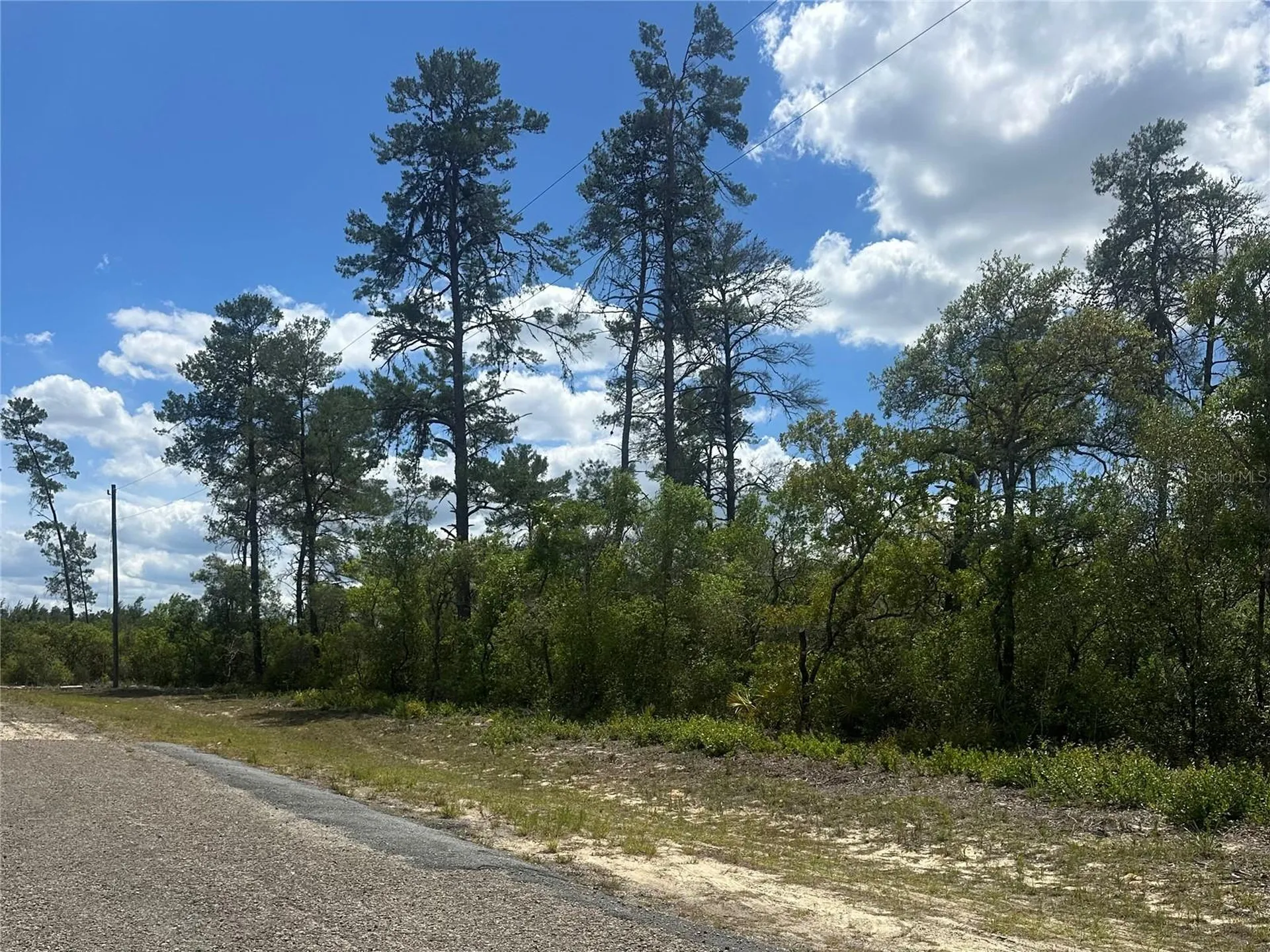8036 N Wayside Avenue Dunnellon FL 34433